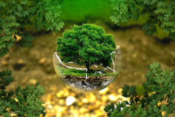 Comment garantir un futur environnemental durable pour nos enfants ?